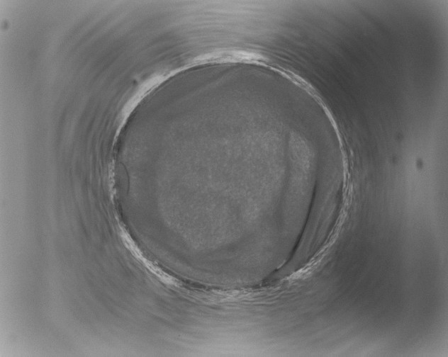 X0000051240997200507152119