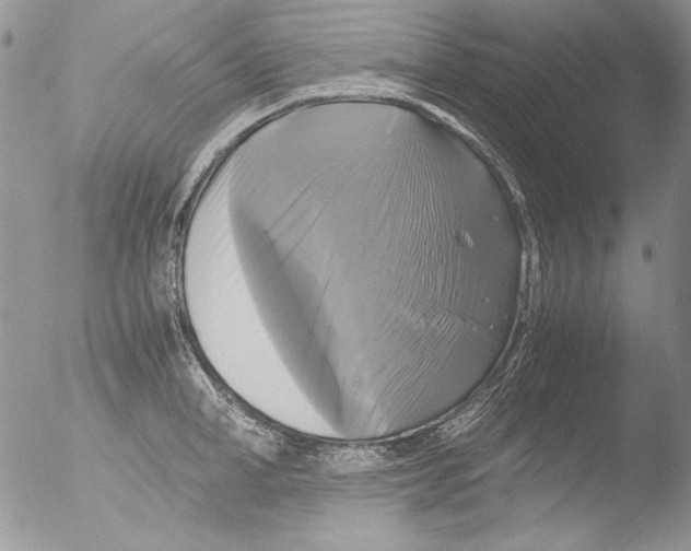 X0000051240998200507152119