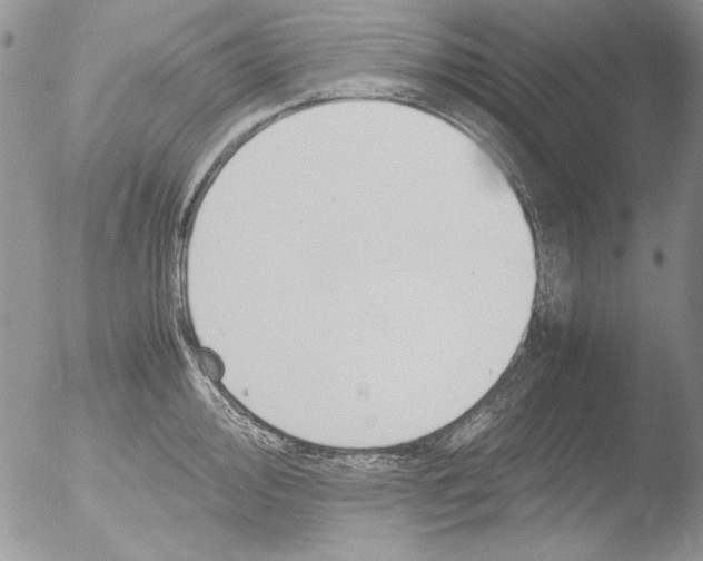 X0000051241000200507152118