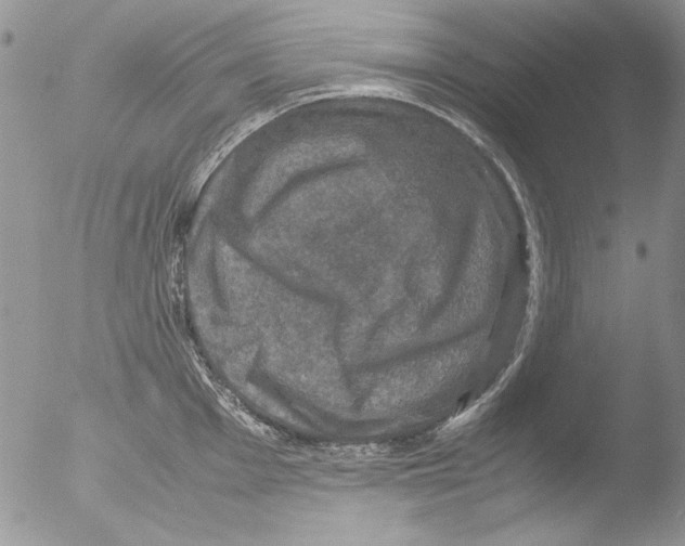 X0000051241001200507152118