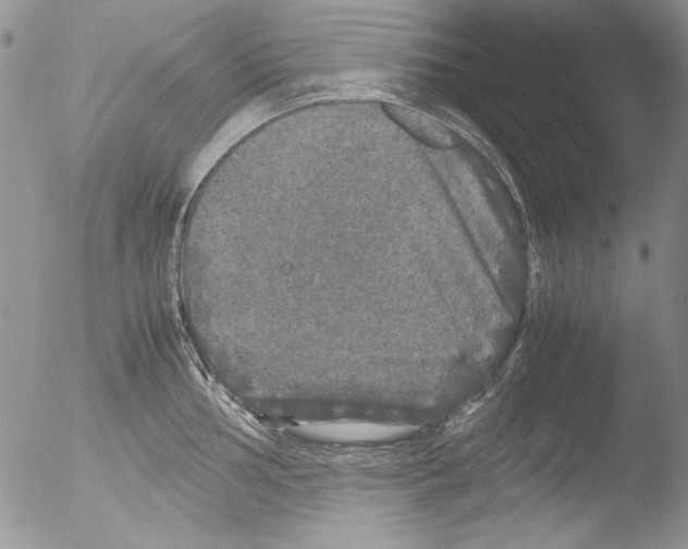 X0000051241002200507152118