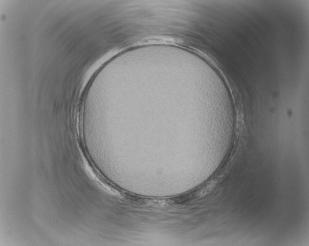 X0000051241003200507152118