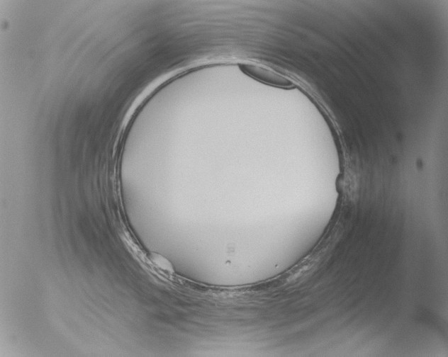 X0000051241004200507152118