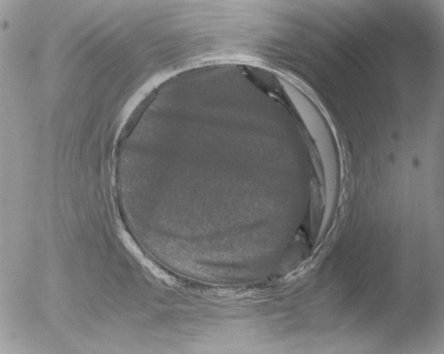 X0000051241005200507152118