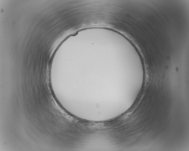 X0000051241006200507152118