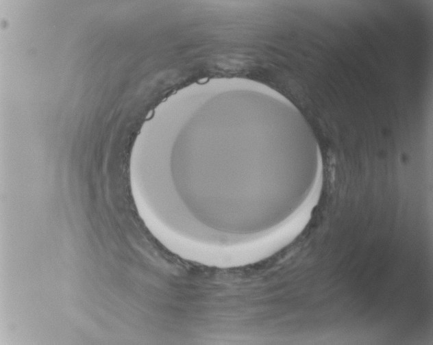 X0000051241009200507152118