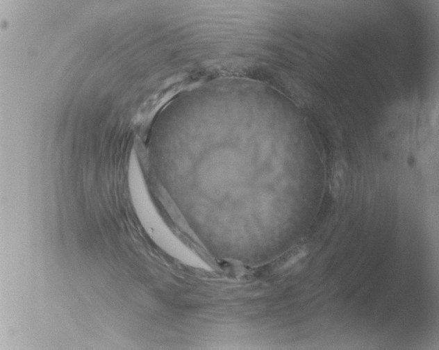 X0000051241010200507152118