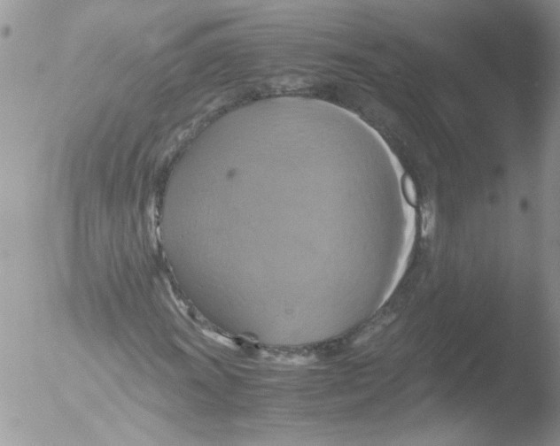 X0000051241011200507152118