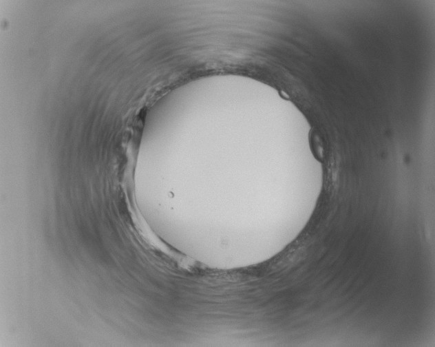 X0000051241012200507152118