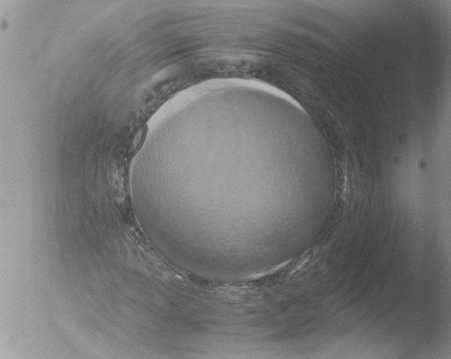 X0000051241013200507152118