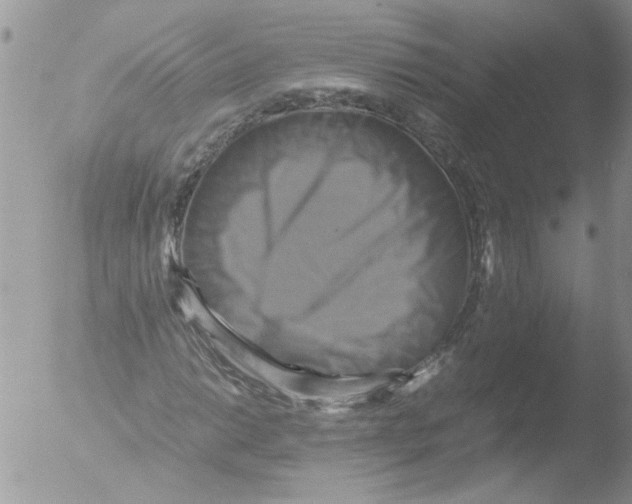 X0000051241014200507152118