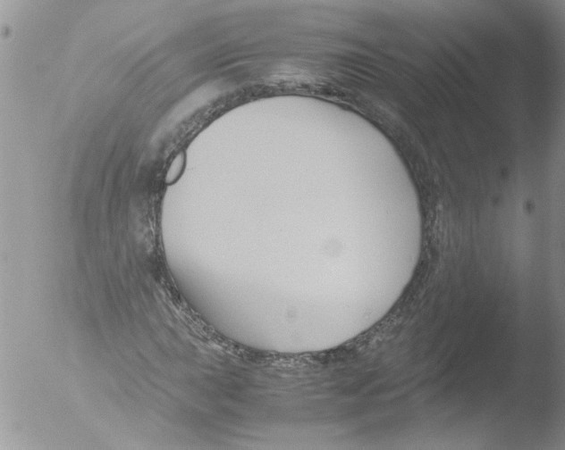 X0000051241015200507152118