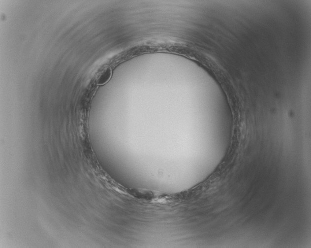 X0000051241016200507152118