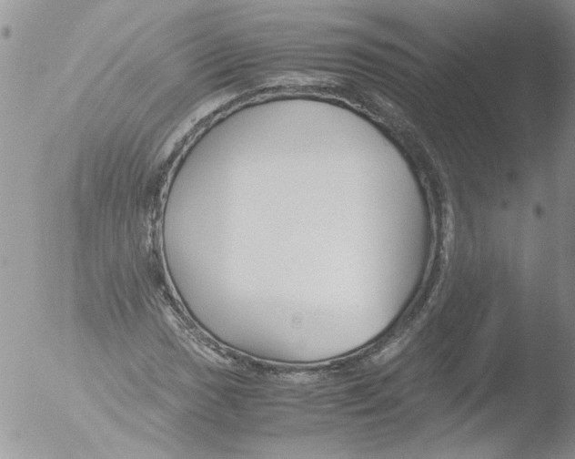 X0000051241017200507152118