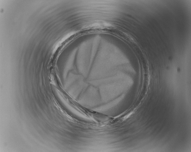 X0000051241018200507152118