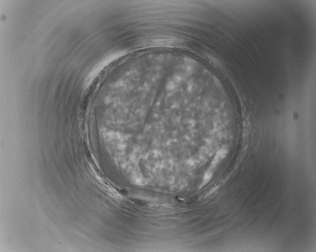 X0000051241019200507152118