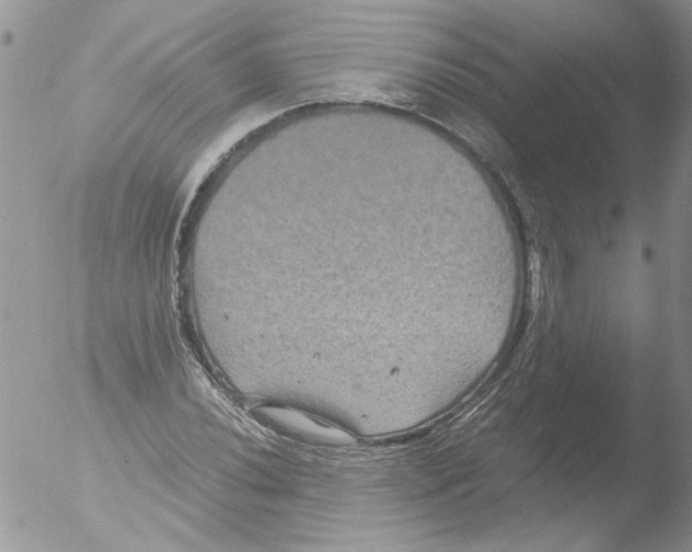 X0000051241020200507152118