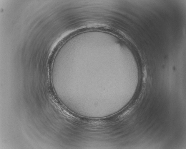 X0000051241021200507152118