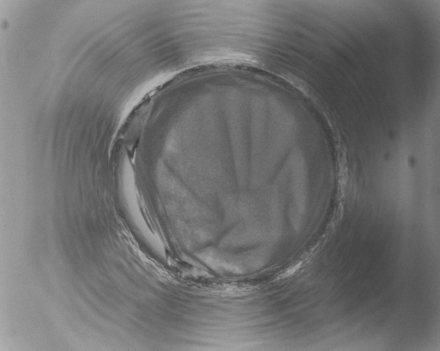 X0000051241022200507152118