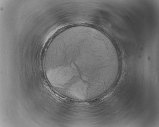 X0000051241023200507152118