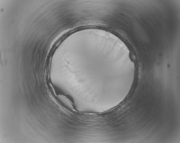 X0000051241024200507152118