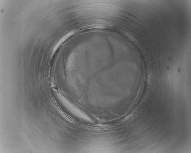 X0000051241026200507152118