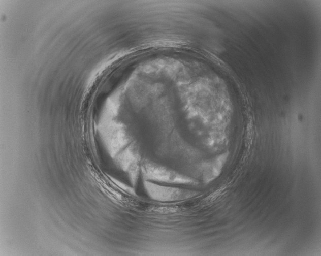 X0000051241027200507152118