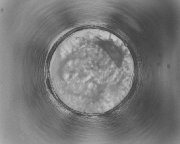 X0000051241028200507152118