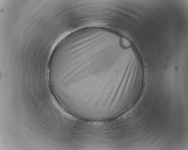 X0000051241029200507152118