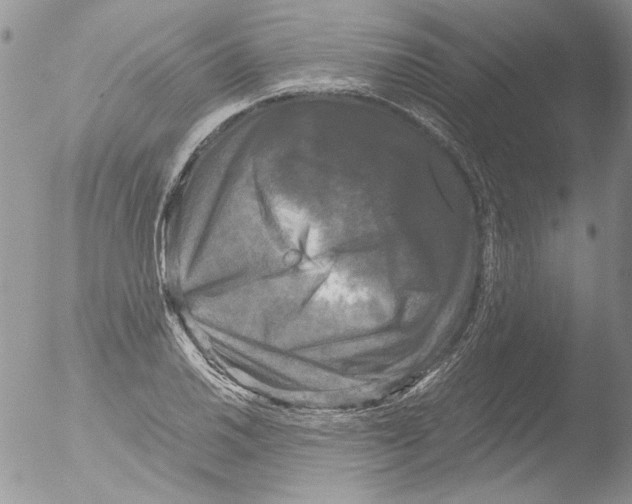 X0000051241030200507152118