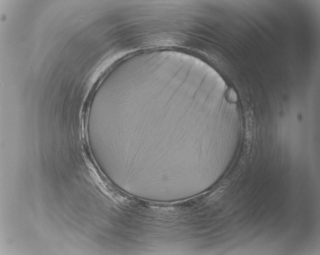 X0000051241031200507152118