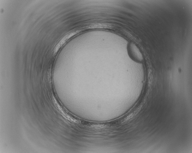 X0000051241033200507152118