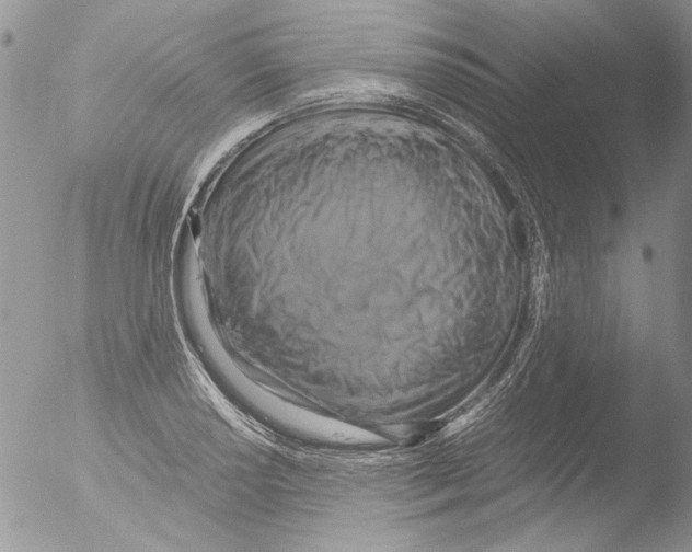 X0000051241034200507152118