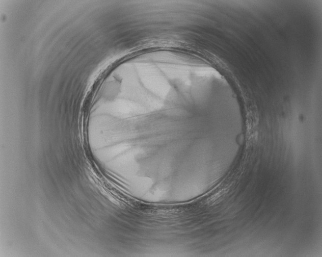 X0000051241035200507152118