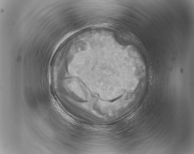 X0000051241036200507152118