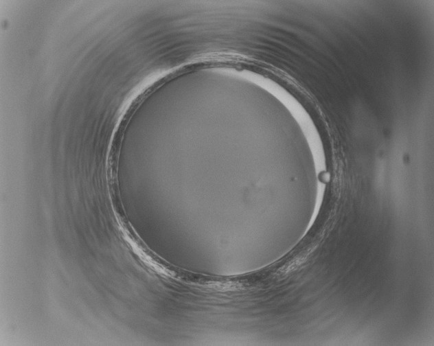 X0000051241037200507152118