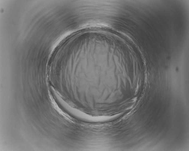 X0000051241038200507152118