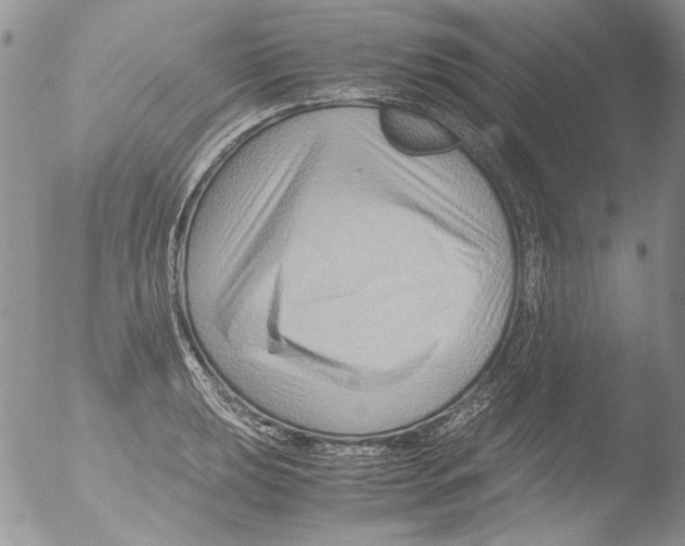 X0000051241039200507152118