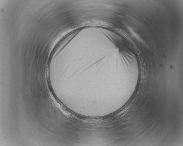 X0000051241040200507152118