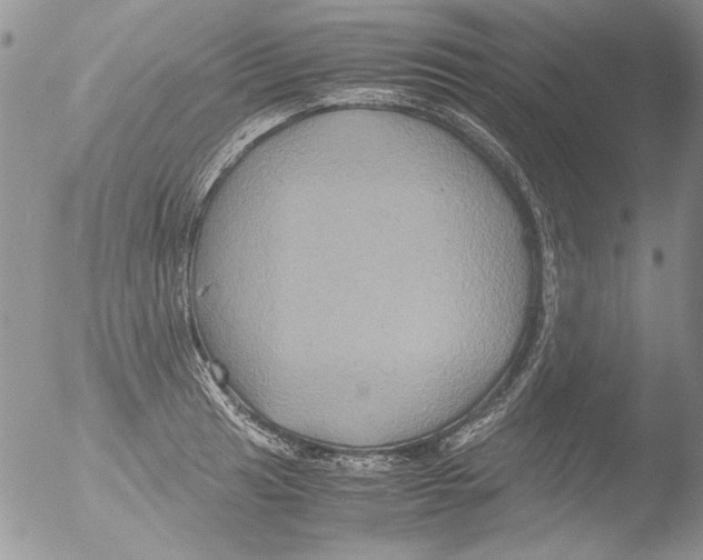 X0000051241041200507152118