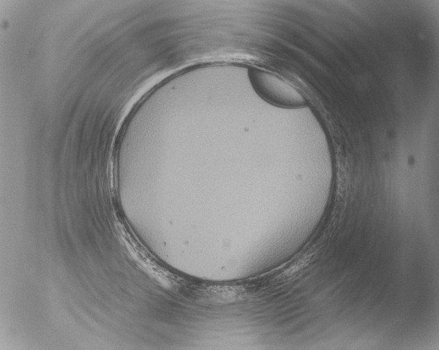 X0000051241044200507152118