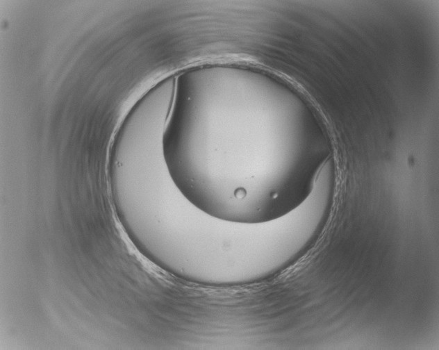 X0000051241046200507152118