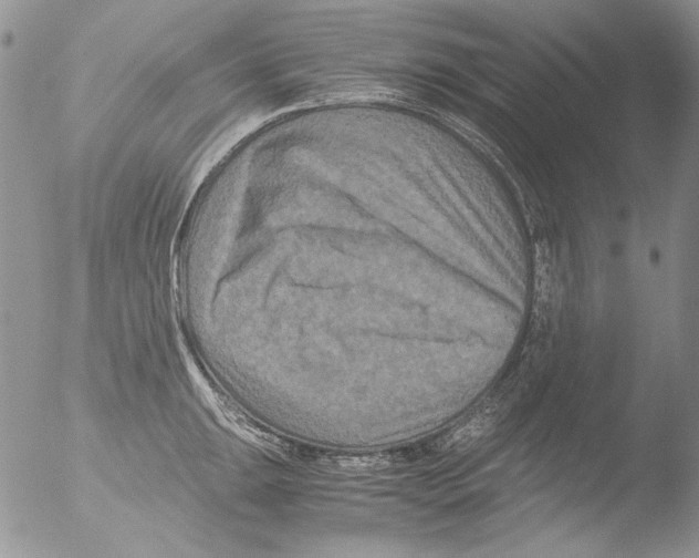 X0000051241047200507152118