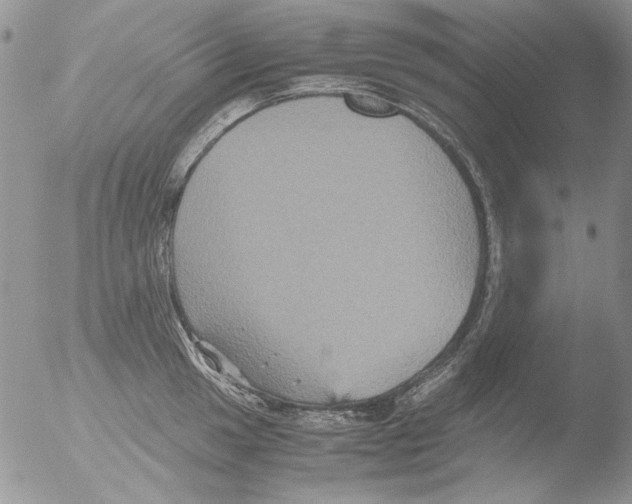 X0000051241049200507152118