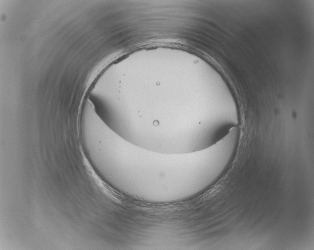 X0000051241050200507152118