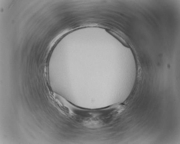 X0000051241051200507152118