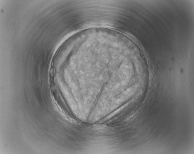 X0000051241052200507152118