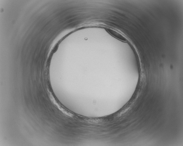 X0000051241053200507152118