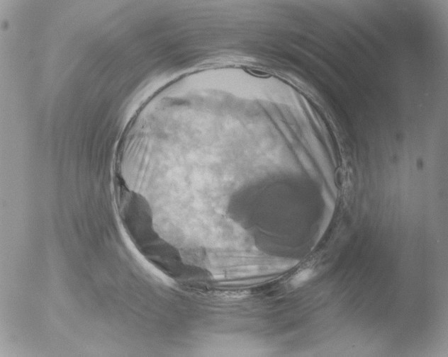 X0000051241055200507152118