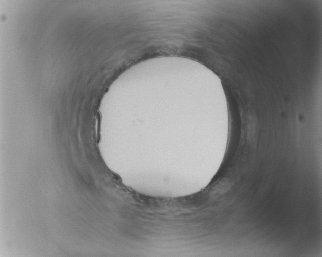 X0000051241057200507152118